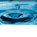 The king of the water group