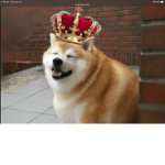 Puppers of roblox
