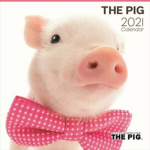 pigs r the best