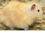Aᴍᴏɴɢ Us