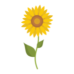 Sunflower Dev. Studios