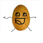 THE ALMIGHTY POTATO SQUAD