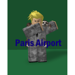 Paris Airport