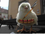 A Bird Clan