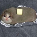 SaveThecat