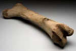 Fischbone