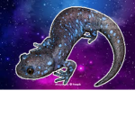 Galaxy SquadYT