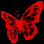 SuperGifterDrifter Group