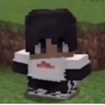Gamer hedgehog sqaud