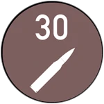 Game Badge Icon