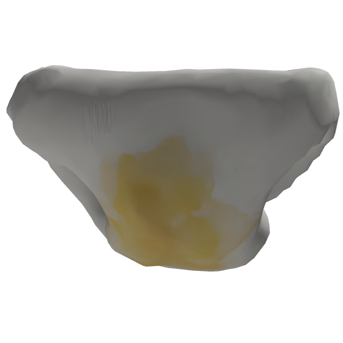 Diaper
