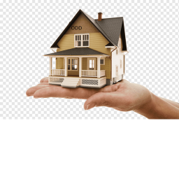 new odd house