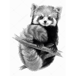 The official red panda team