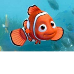 FiShY Guards