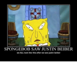 Sponge kingdomme