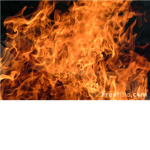 R.F.A. roblox flame army