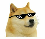 CoolDoggy's