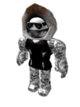 Artic Roblox Team