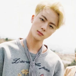 seokjin icon