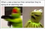 Meme and more memes