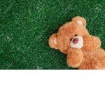 Teddy...hi