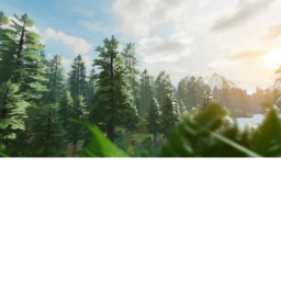 Super Realistic Forest!
