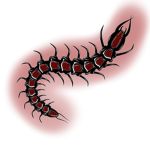 Centipede Cult