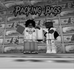PACKING BAGS