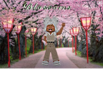 Blossoms HQ