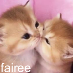 fairee