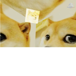 Doge city rp