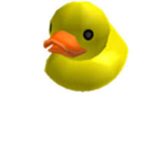 The Ducks Club!