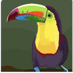 Toucan Developments