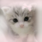 - cutesy staffs -