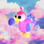 Dodo Group Dodo