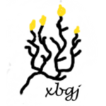 xbgj