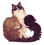 Forest Cat Studios