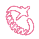 MNKN DESIGN