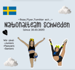 Team Schweden