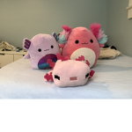 Axolotl group kk