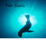 Teh Seals