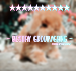 Bestay group/gang