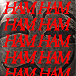 HAM PLANT #5