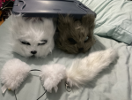 The furry and therian community