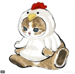 Chubby team 342