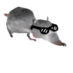 Cool Rat Apparel