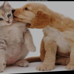 GO TO THE PLACE IN THE DESCRIPTION!!!