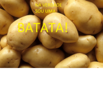 Os tatios