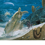 Cambrian Life Fan Group