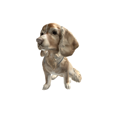 doggo doo